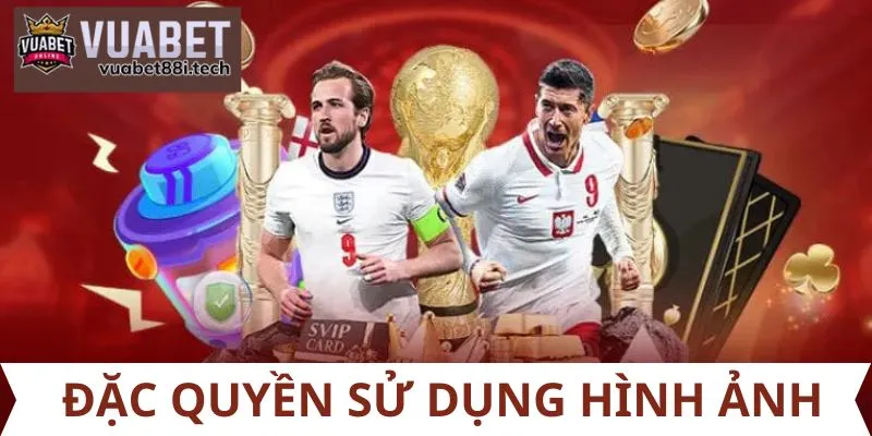 quyền sử dụng hình ảnh chỉ có tại Vuabet88